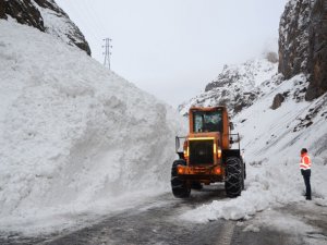 Hakkari’de kış çetin geçiyor