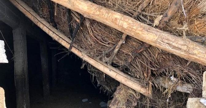 Kar ağırlığına dayanmayan ahır çöktü: 12 koyun telef oldu