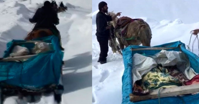 Hakkari kalp hastası, atlı kızakla ambulansa taşındı
