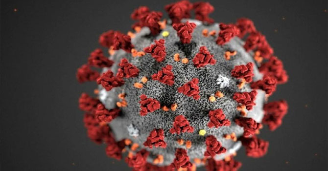 Yeni koronavirüsün mutasyon geçirdiği belirlendi