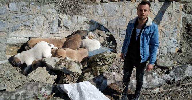 Hakkari’de Sokağa atılan köpek yavruları kurtarıldı