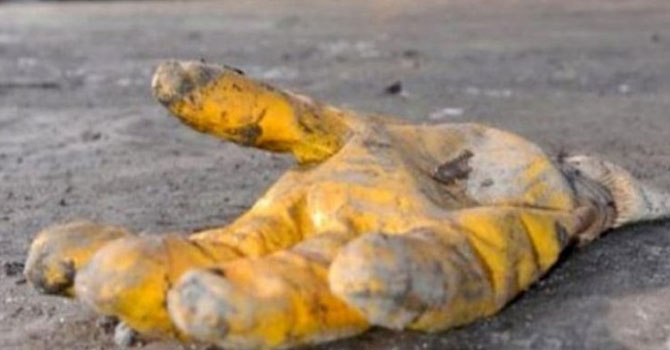 Şubat ayında iş kazalarında 131 işçi öldü