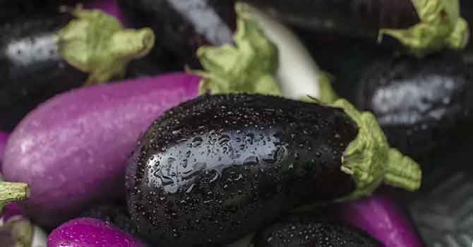 'İran'da gökten patlıcan yağdı' iddiası sosyal medyada gündem oldu