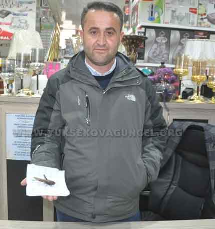 İran'ı istila eden çekirge Yüksekova'da görüldü