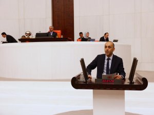HDP'li Dede: Cezaevleri ölüm evleri olmamalı!