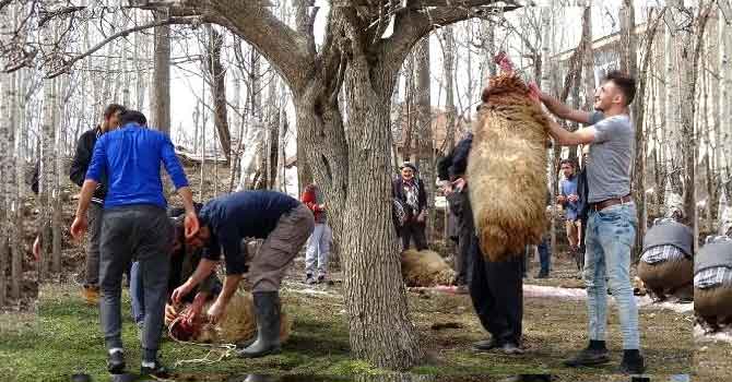 Şemdinli'de Koronavirüse karşı 180 kurban kesildi