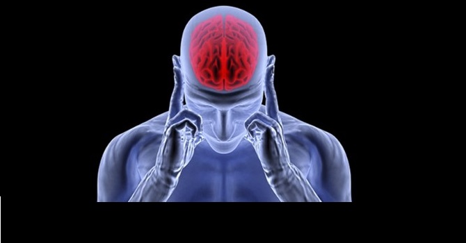 Mutlak Akıl! Kevser Yeşiltaş yazdı...