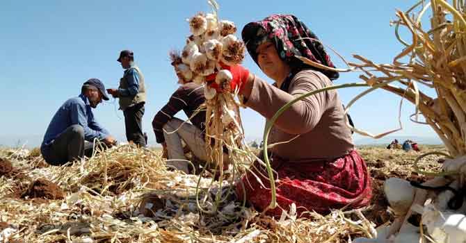 "Salgın tarıma devlet desteğinin önemini gösterdi"