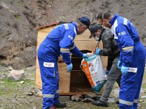 Hakkari’de sokak hayvanları için yiyecek bırakıldı