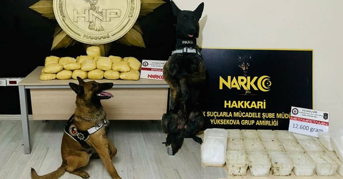 'Pars ve Ayzek' Yine uyuşturucuya geçit vermedi