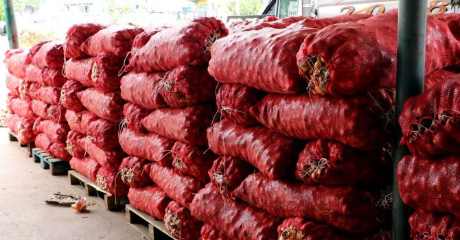 Koronavirüs nedeniyle halde fiyatlar yarı yarıya düştü