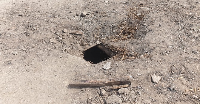 Hakkari'de Dam'dan giren ayı katliam yapıp, kapıdan kaçtı