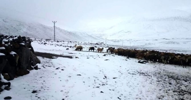 Iğdır'a kar yağdı