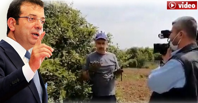 Kurmaca limon haberine üç gözaltı