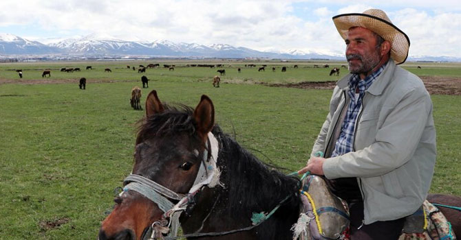 İthal çobanlar gelemedi: 5 bin liraya çalışacak kimse bulamıyorlar
