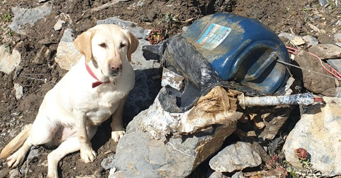 Oğul Köyünde el yapımı patlayıcı ele geçiridi!