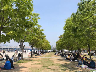 Güney Kore'de dün ilk kez ülke içi kaynaklı yeni vaka görülmedi