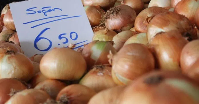 Zam şampiyonu soğan