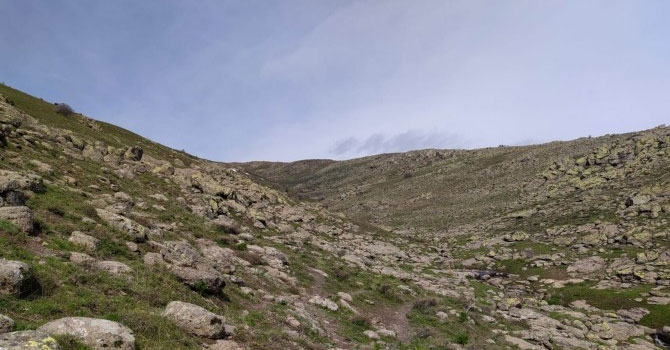 Koyun otlatan çocuğa yıldırım çarptı