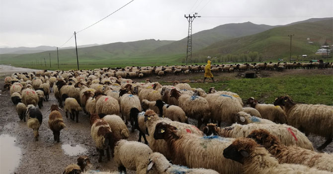 Yağışlar Hakkari'de hayatı olumsuz etkiliyor