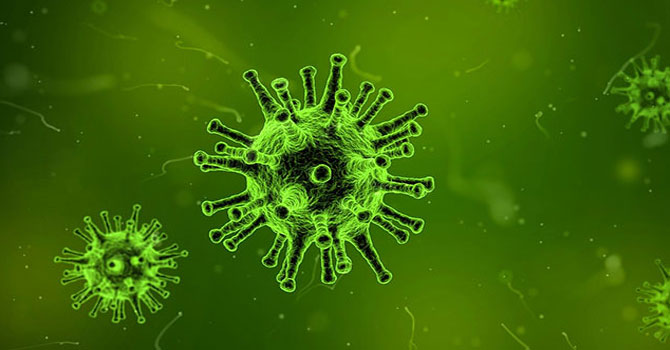 Türkiye'de 246 kişi daha korona virüsünden vefat etti