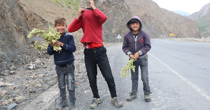 Hakkari'de muhabiri Polis Zannederek kaçmaya çalıştılar