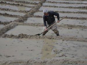 Hakkari'de toprak imece usulüyle canlanıyor