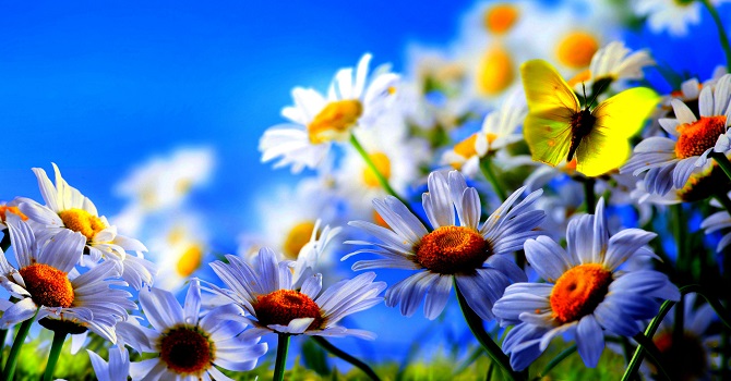 Allah'ın rahmetinin en güzel tecellisi Anne