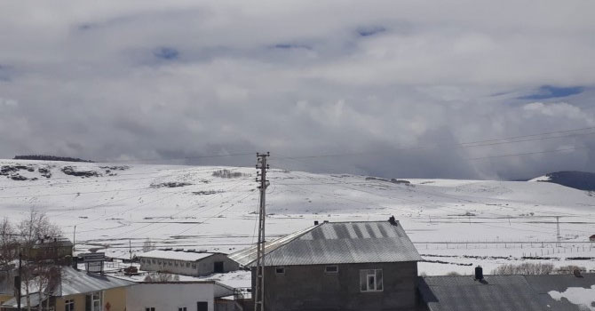 Ardahan’da kar yağışı: Hayvanlar aç kaldı