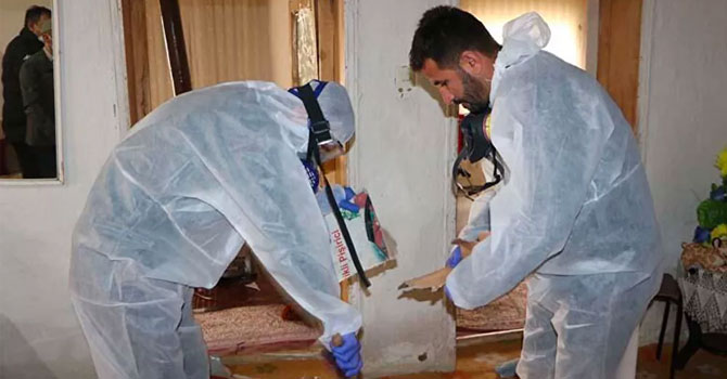 Hakkari'de bir ailenin terk ettiği evinde yapılan aramada 20 yılan yakalandı