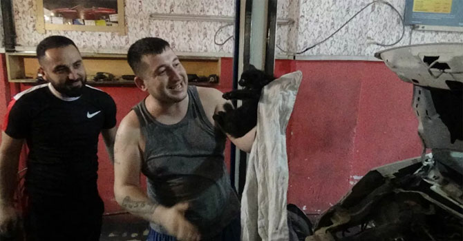 Yavru kediyi kurtarmak için aracı parçaladılar