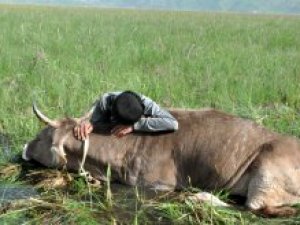 Tek geçim kaynağı bataklığa saplandı