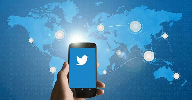 Twitter'da yayınlanan fotoğraftan yeni bir canlı türü keşfedildi