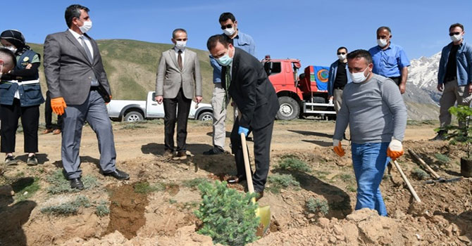 Hakkari'de sağlık çalışanlarının adına hatıra ormanı kuruldu