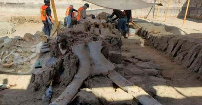 Havalimanı inşaatında 15 bin yıllık mamut kemikleri bulundu