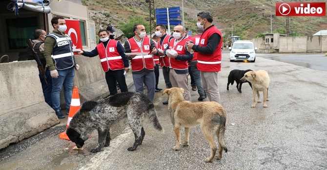 Hakkari Kızılay, Güvenlik güçlerin bayramını kutladı