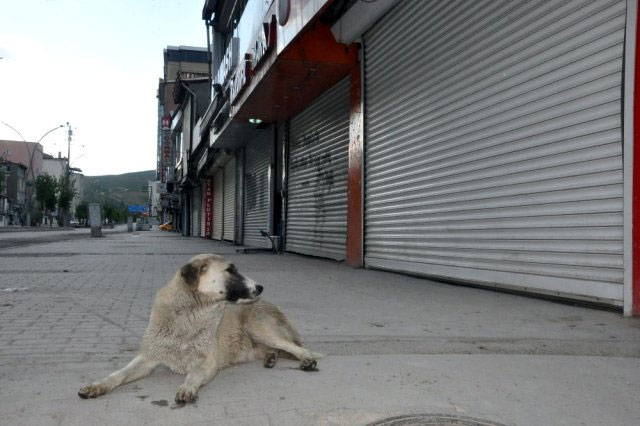 Yüksekova'da sokaklar sessiz