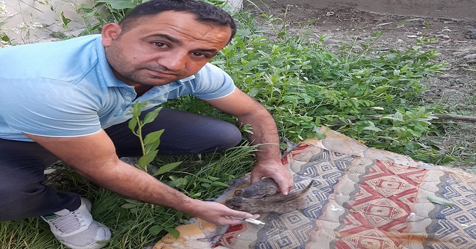 Binadan düşen yavru kedilere Muhtar Alkan sahip çıktı