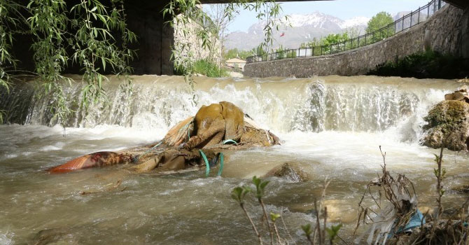 Dereler Van Gölü’ne çöp taşıyor