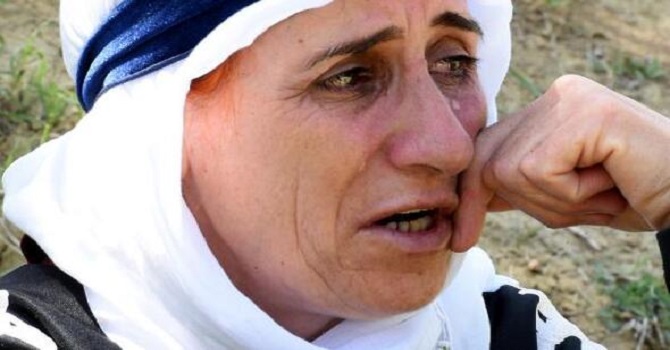 Yüksekova'da 30 koyunu öldü, '18 kişilik ailemizin tek geçim kaynağıydı' diyerek ağladı