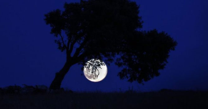 Çilek Ayı: Cuma gecesi Kısmi Ay tutulması yaşandı