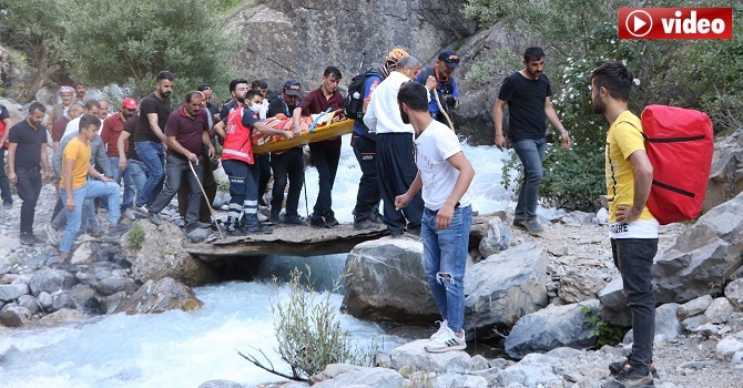 Hakkari'de bir işsiz daha Pancar toplarken uçurumdan yuvarlandı