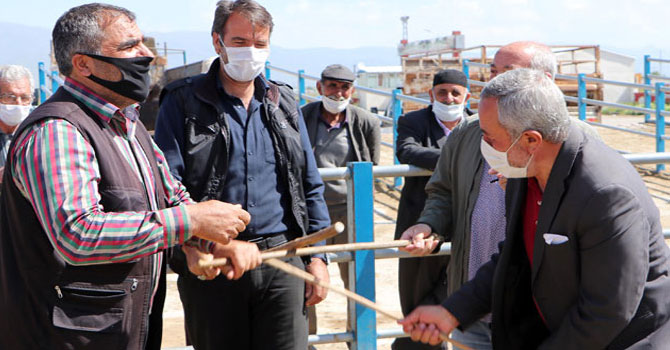 Hayvan pazarında el sıkışma yerine 'sopalı pazarlık' dönemi