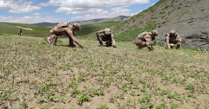 Hakkari'de 3 milyon değerinde uyuşturucu ele geçirildi