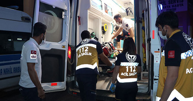 Yüksekova'da ayı saldırısı: 1 yaralı