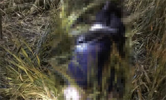 Mantar toplamaya çıkan yaşlı adamın cesedi bulundu