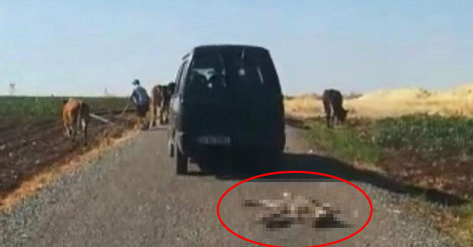 Diyarbakır'da kan donduran görüntü! Aracının arkasında sürükledi