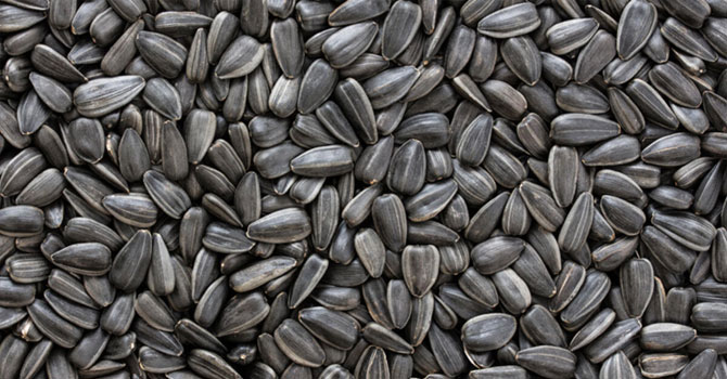 Çekirdekte E-kodlu katkı madde uyarısı