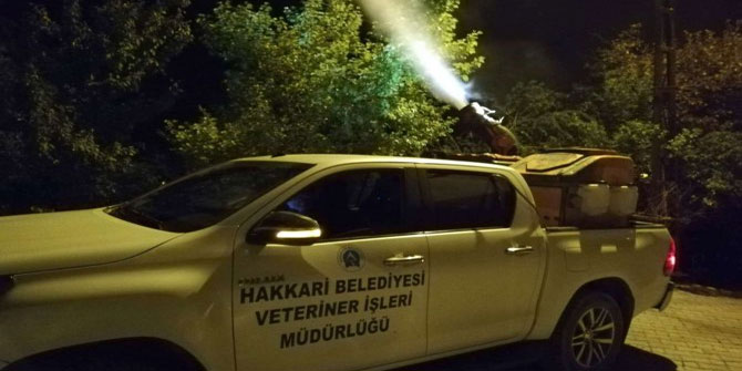 Hakkari’de haşerelere karşı ilaçlama sürüyor