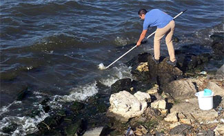Küçükçekmece Gölü'ndeki balık ölümleri araştırılıyor